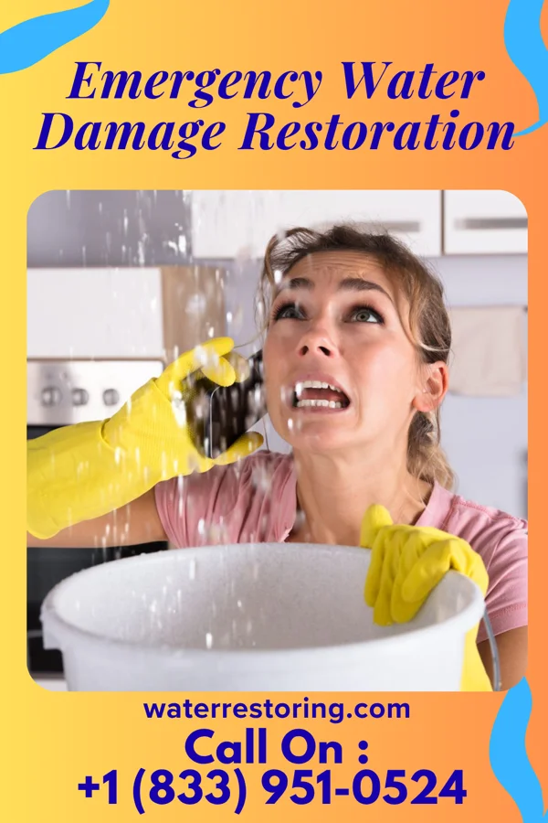 Emergency Water Damage Restoration in Normangee, TX